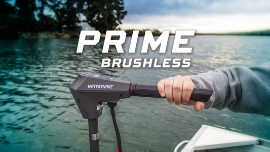 Watersnake Prime 55/42 Brushless